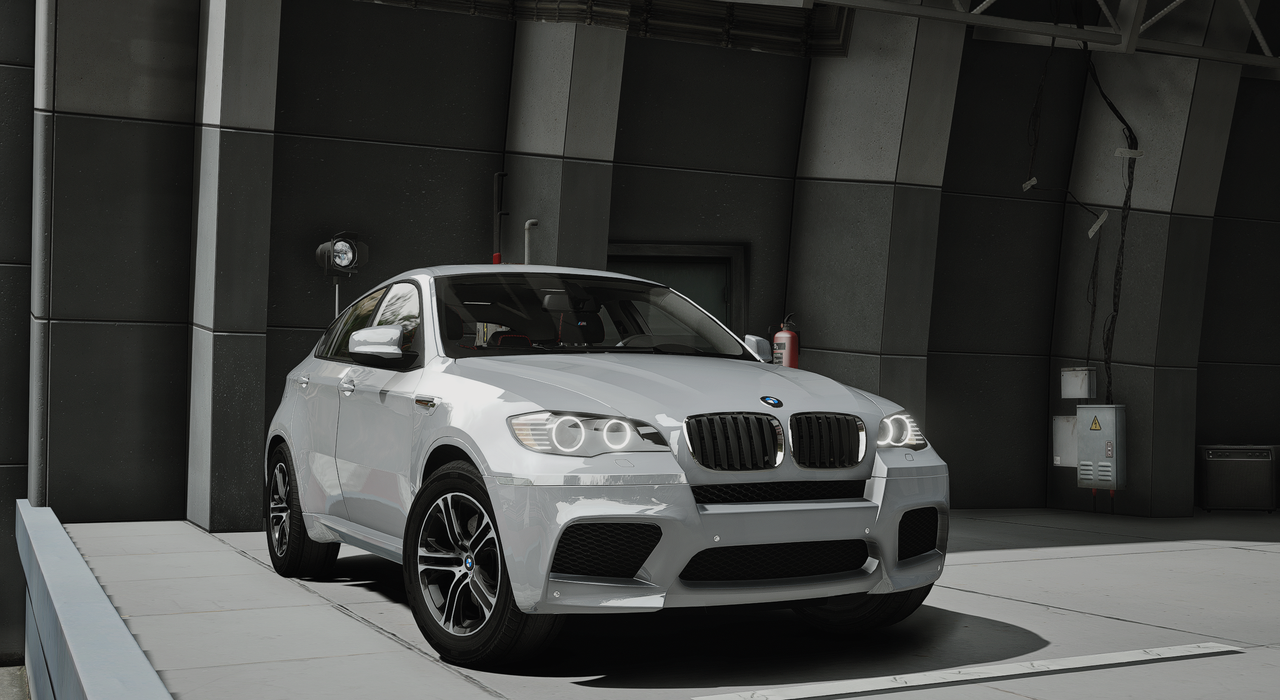BMW X6M 2010